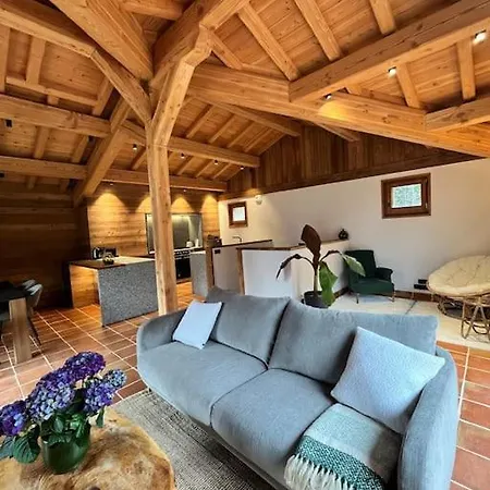 Chalet Le Petit Paradis - Chamonix-mont-blanc Chalet